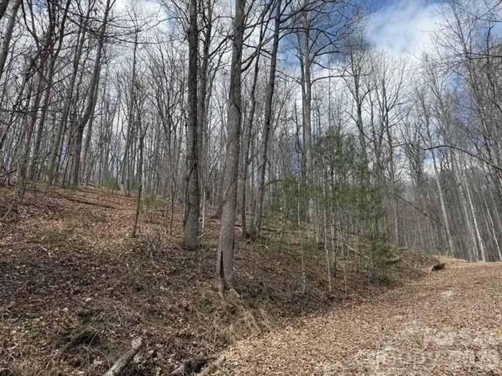 158 Chattooga Run 402, Hendersonville