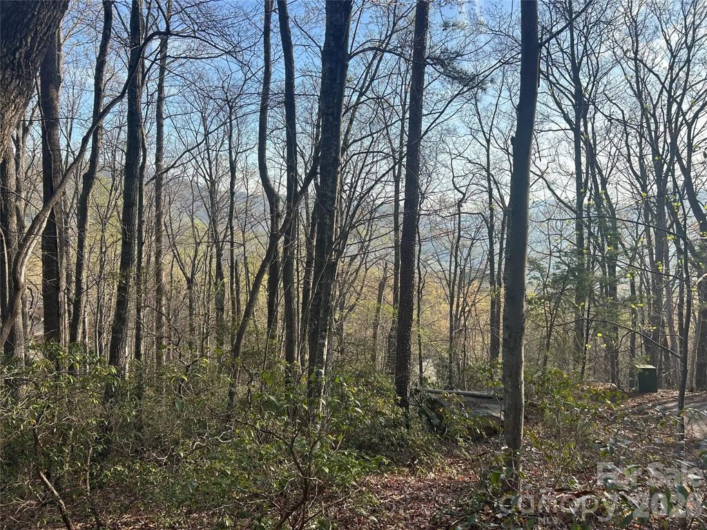 Lot 301 Cardinal Road 301, Lake Lure