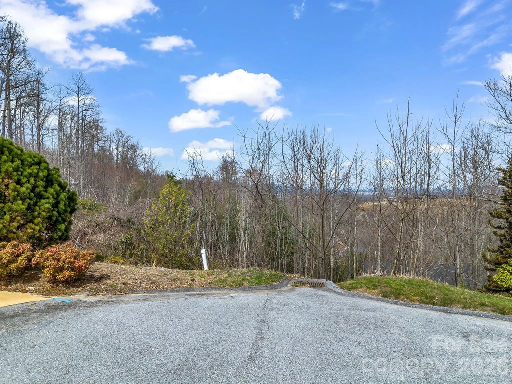 2325 Pommel Road 2325, Hendersonville