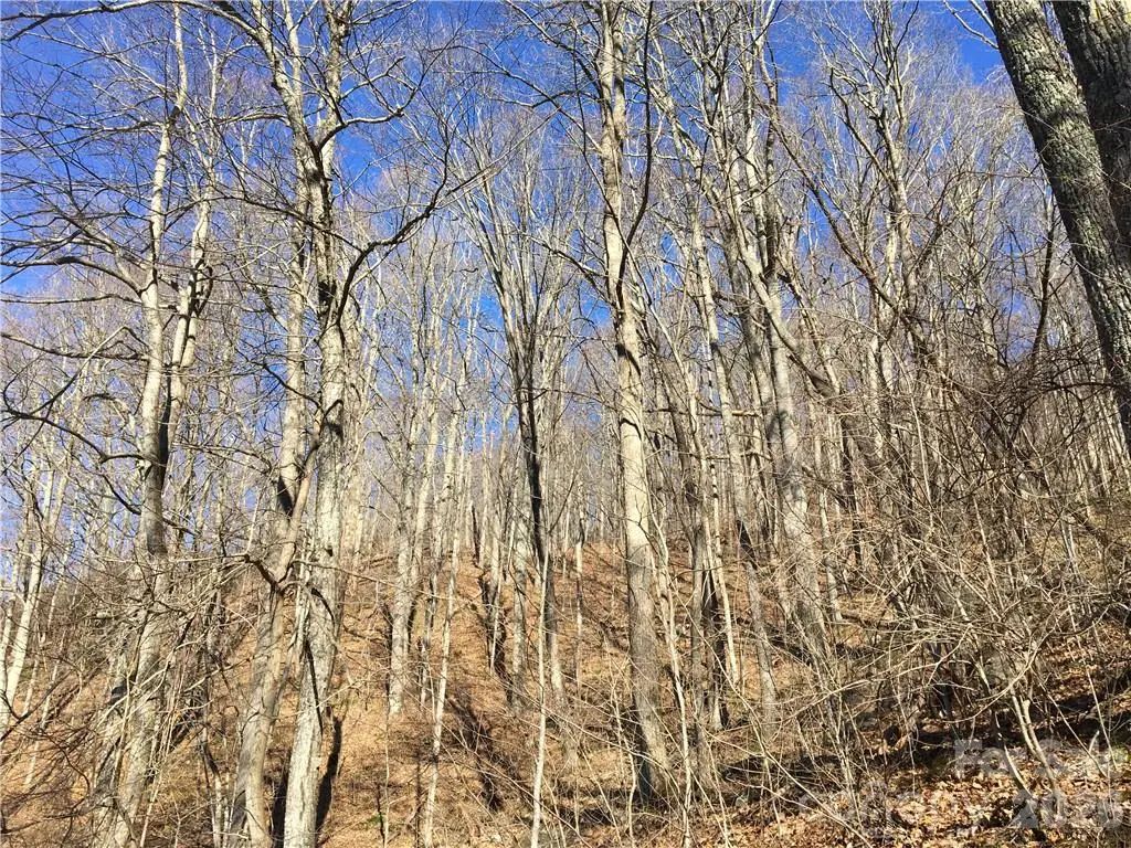 99999 Red Oak Forest Road, Fairview