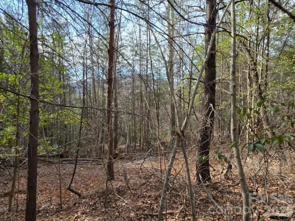 Lot 6 Kerlee Lane, Old Fort