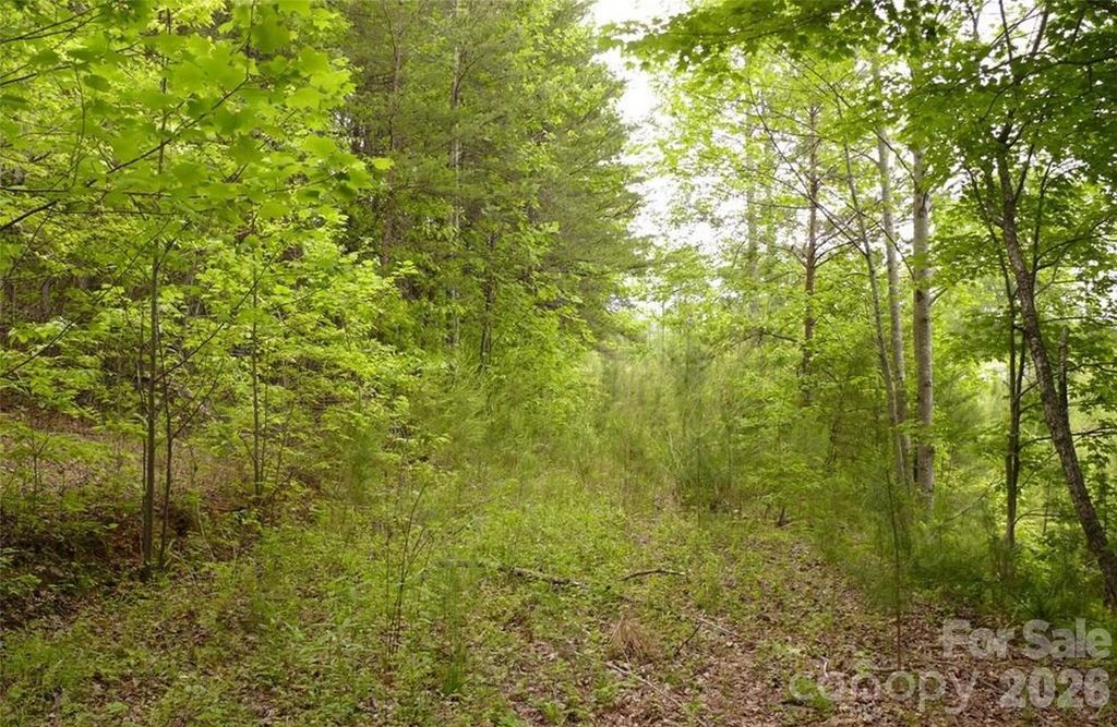 0 Vineyards Way 14, Lake Lure