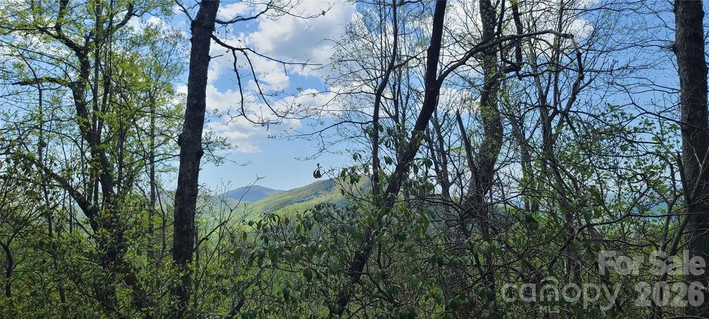 102 High Cliffs Trail, Black Mountain