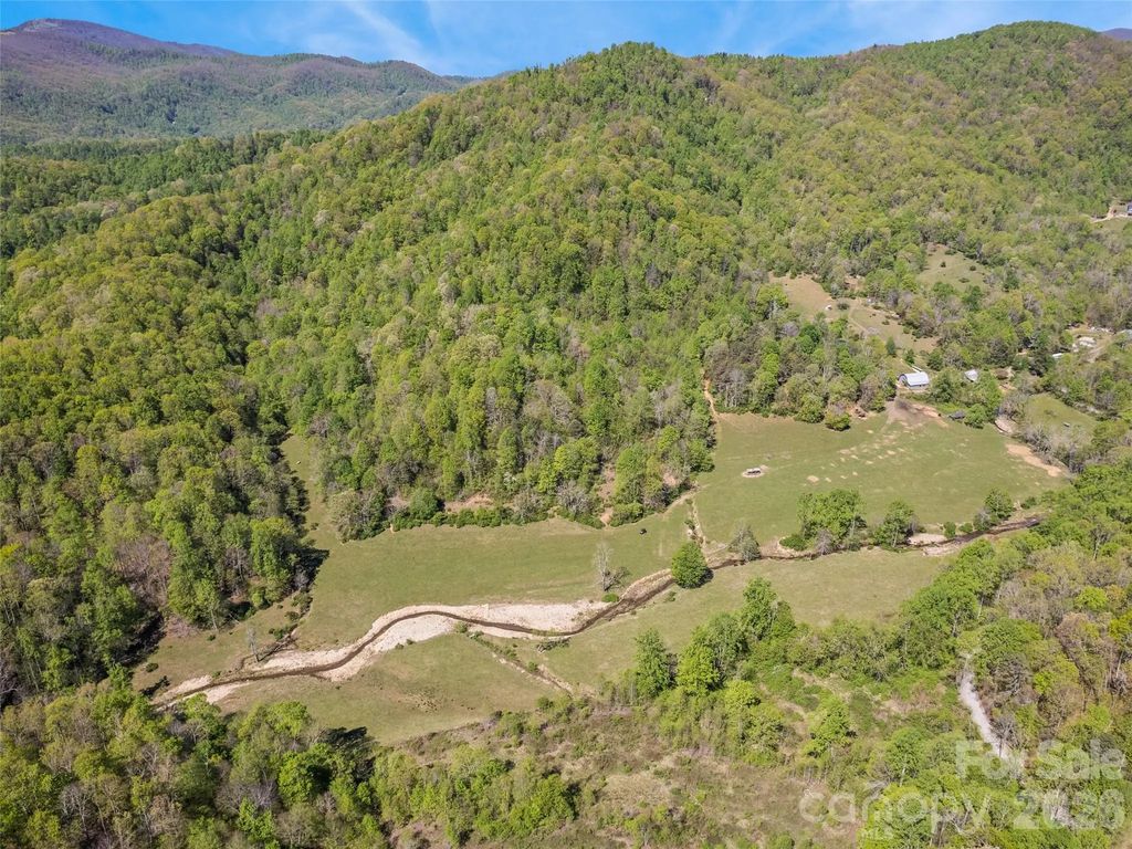 1372 Sand Branch Road, Black Mountain