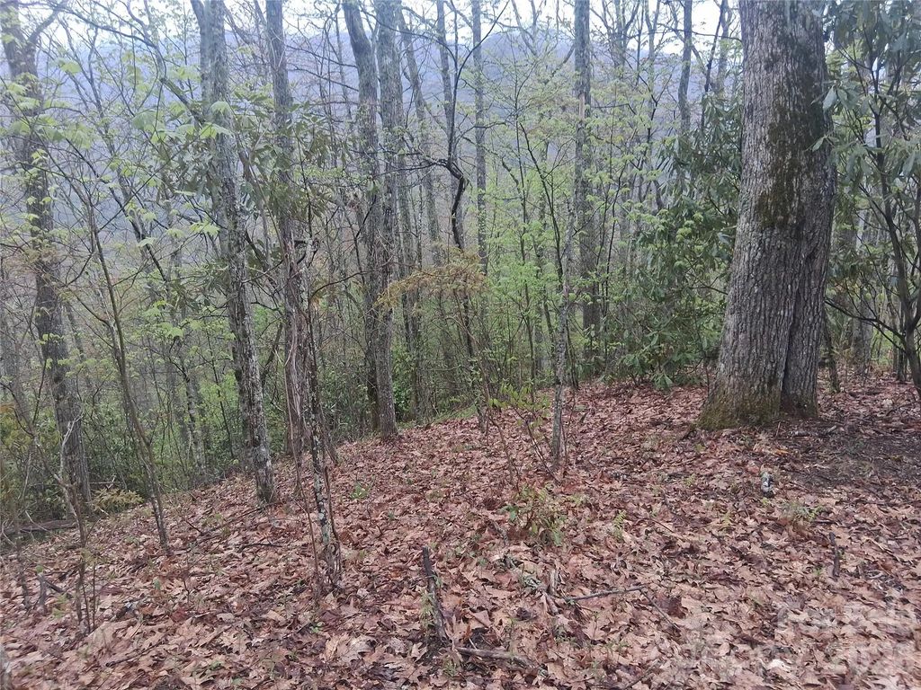 0000 Bear Creek Road, Maggie Valley