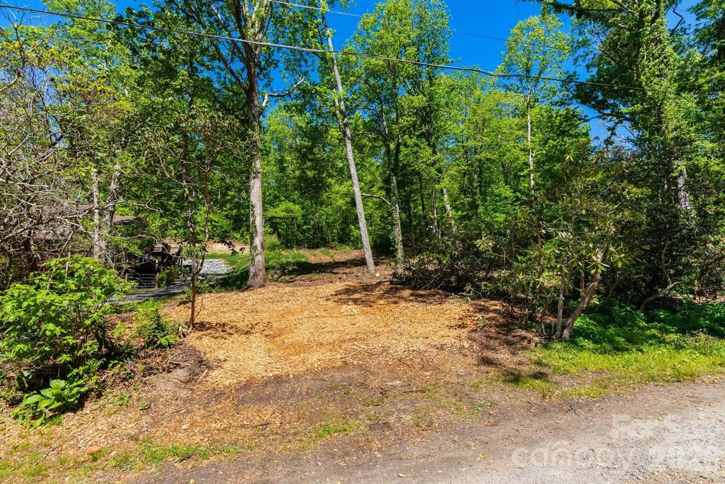 99999 Meeks Road, Black Mountain