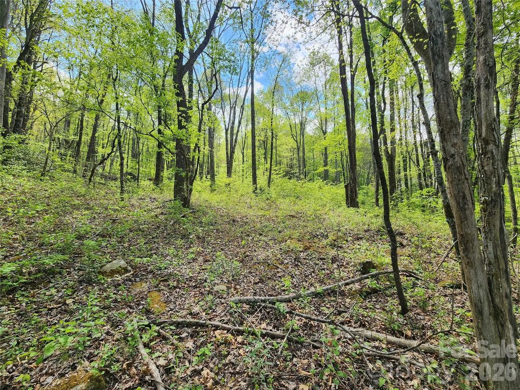 165 Wagon Wheel Way 2, Canton