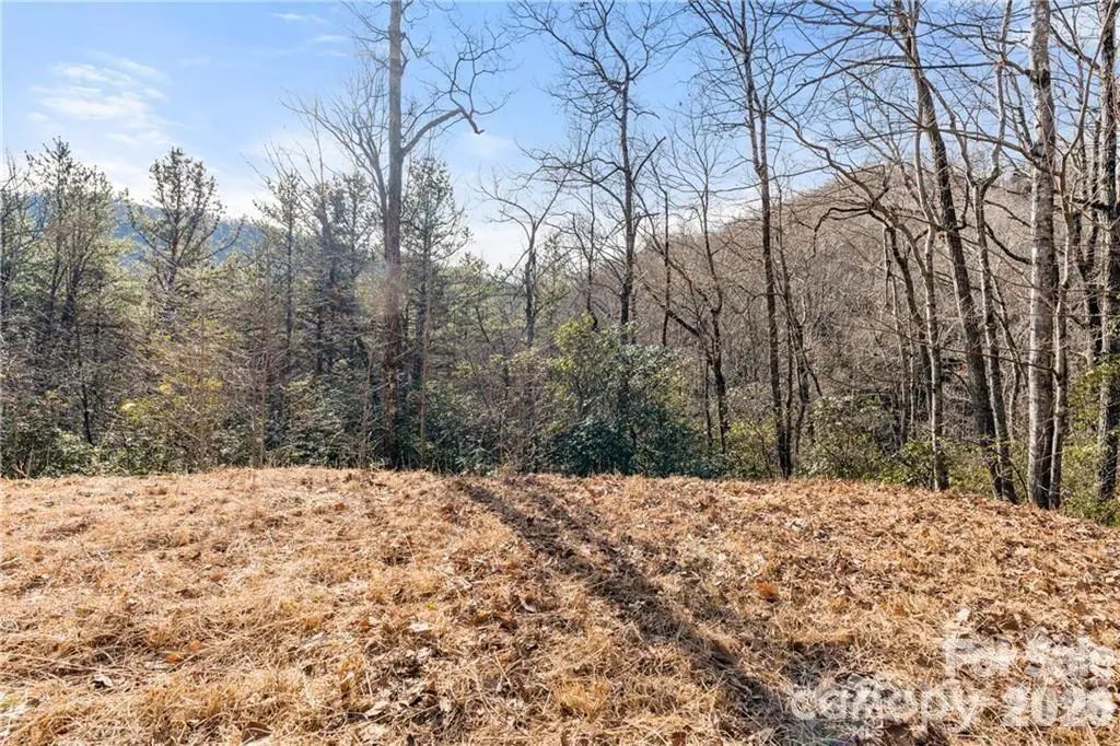 28 Trillium Lane C-1, Black Mountain