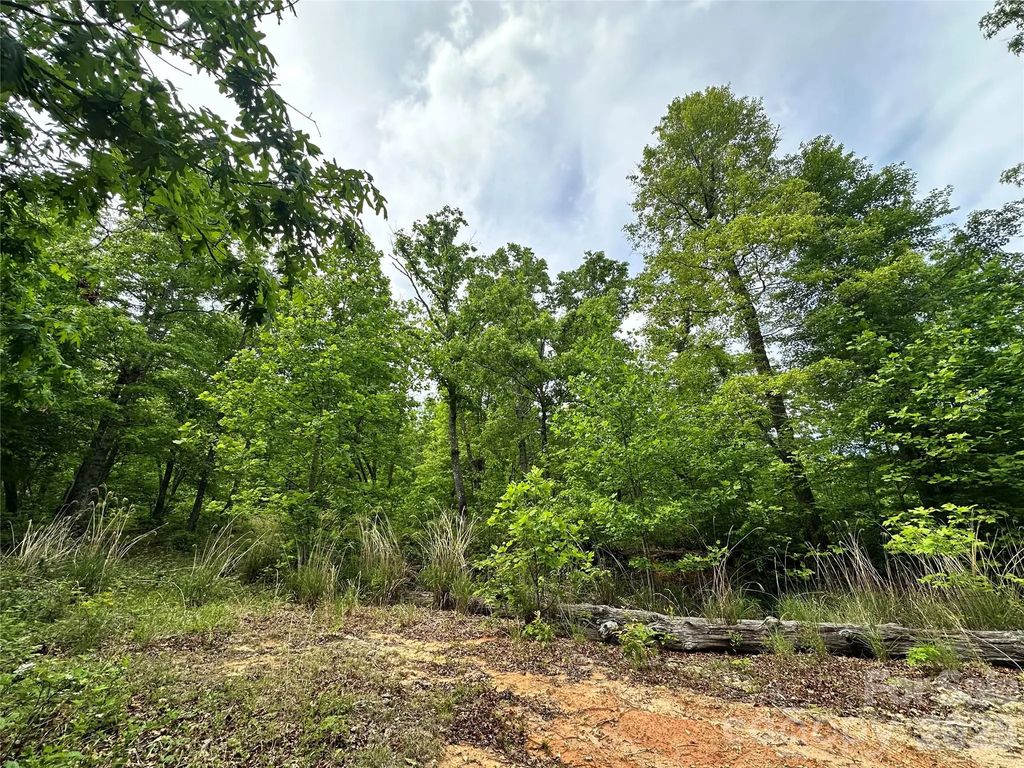 99999 Bird Creek Estates Road, Black Mountain