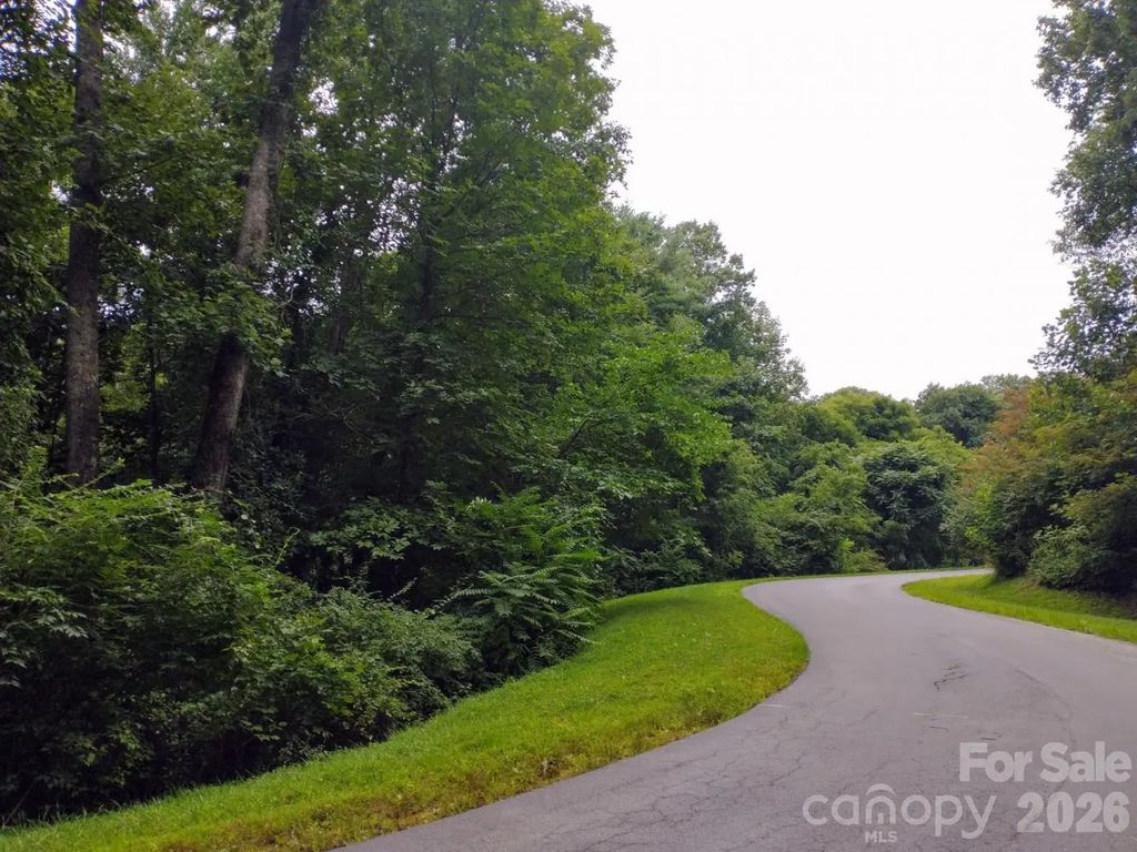 197 Starling Pass, Asheville