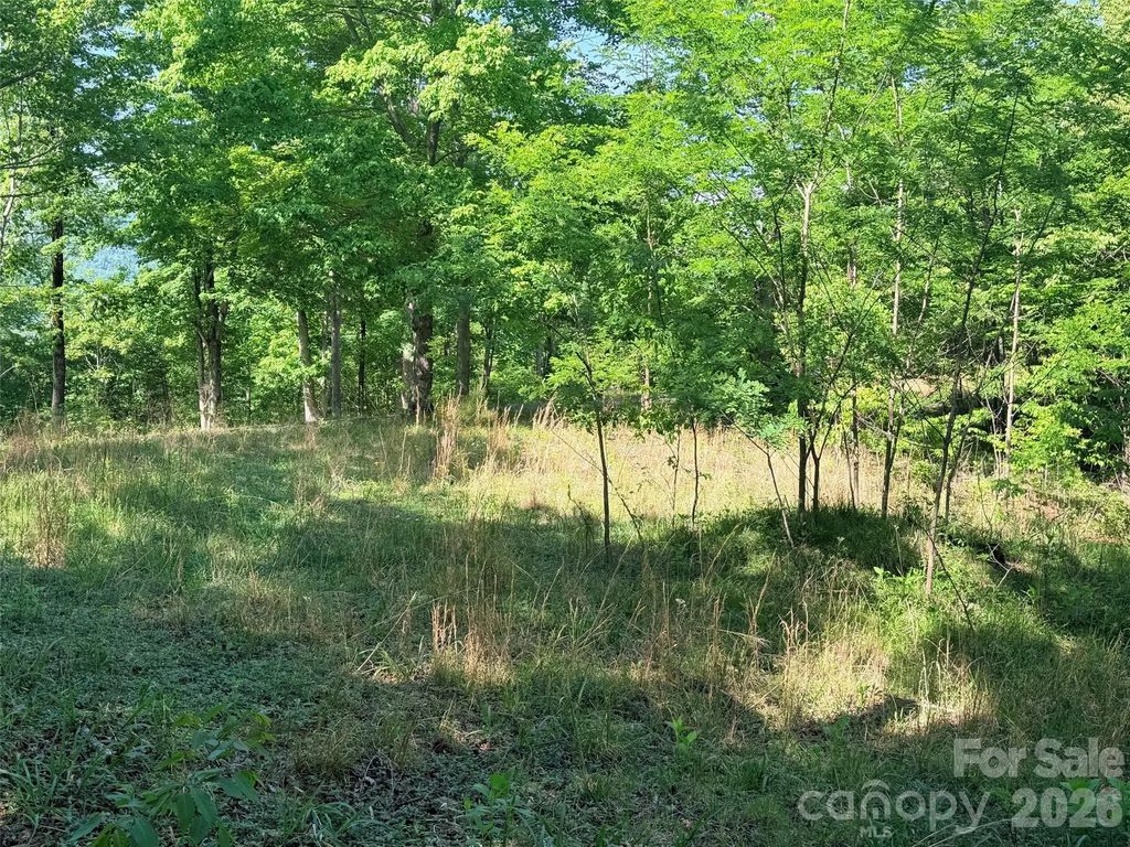 Lot 8 High Rock Ridge, Lake Lure