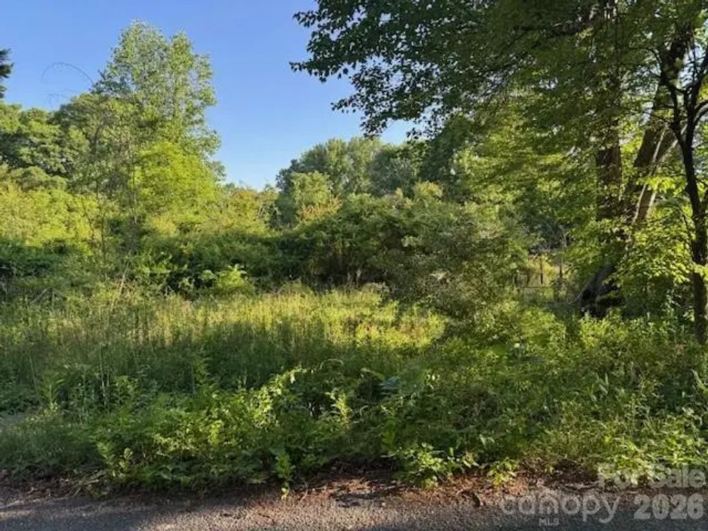 202 Dundee Street, Hendersonville