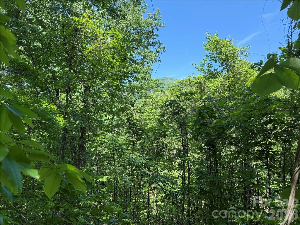 0 Buffalo Shoals Road 1, Lake Lure