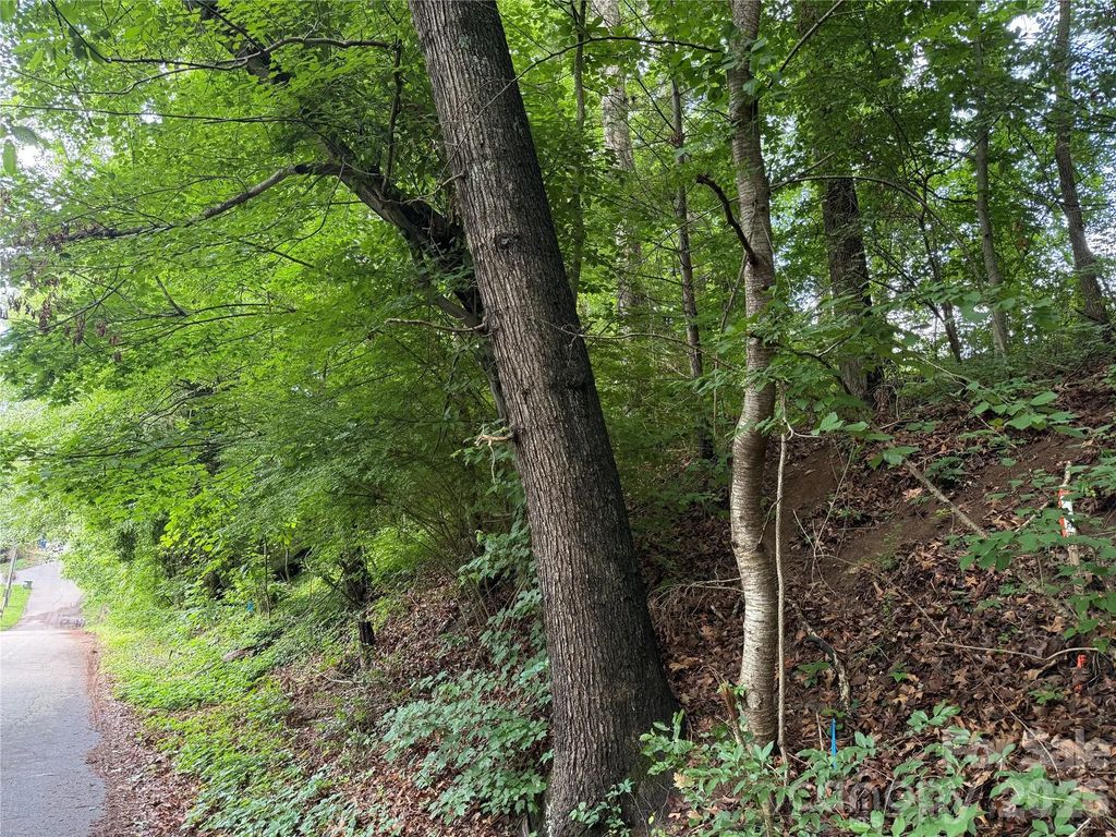 87 Iris Street, Asheville