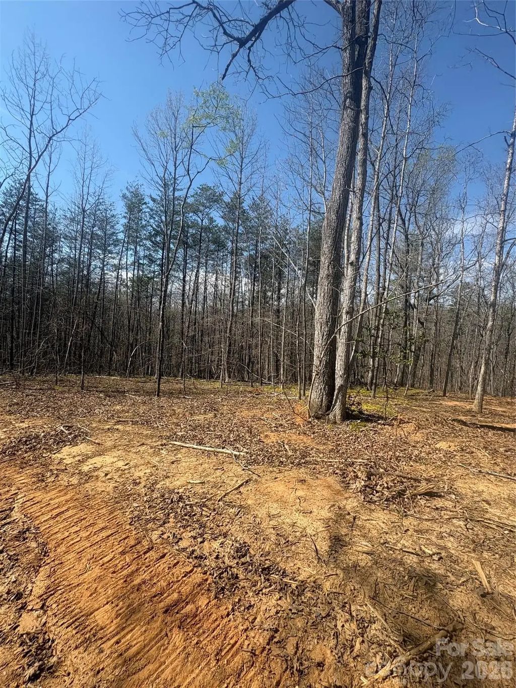 5310 Avenida De Oro Road 3.1, Morganton