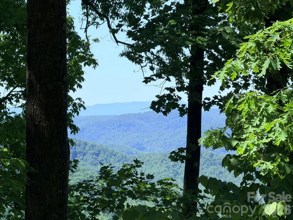 Lot 10 Timbercliff Trail, Black Mountain