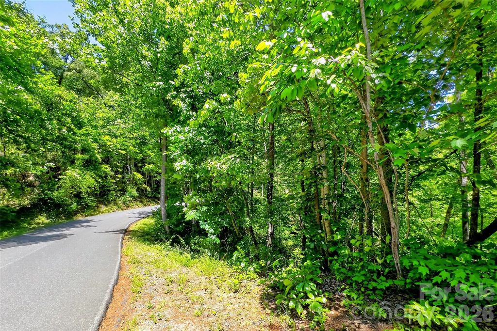 999 Justice Drive, Lake Lure