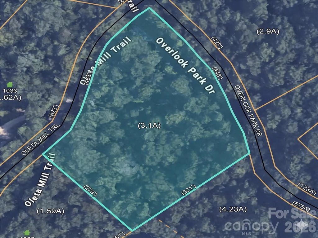 1034 Oleta Mill Trail 49, Hendersonville