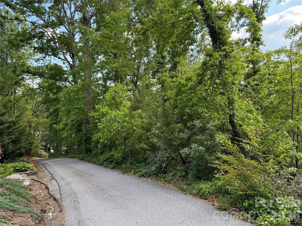53 Will Road 2, Hendersonville