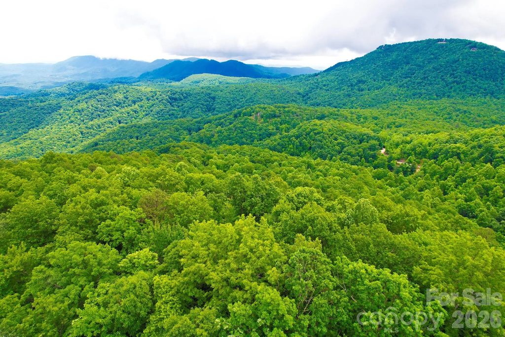 215 Laurel Mountain Trail 10, Black Mountain