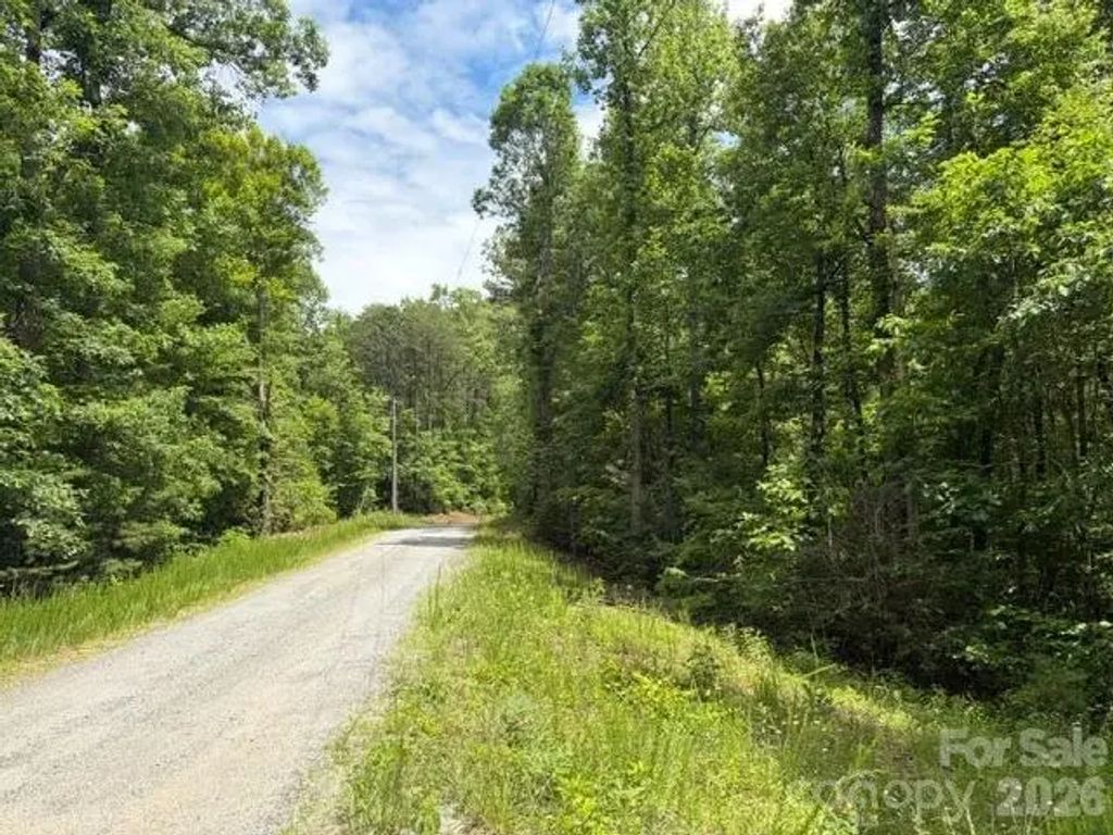 0 Pear Tree Drive, Lake Lure