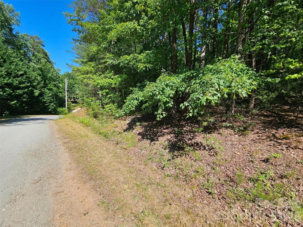 136 Doves Way 136, Lake Lure