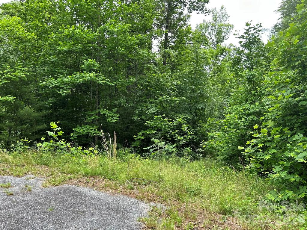 0 Silverstone Drive 16 & 17, Hendersonville