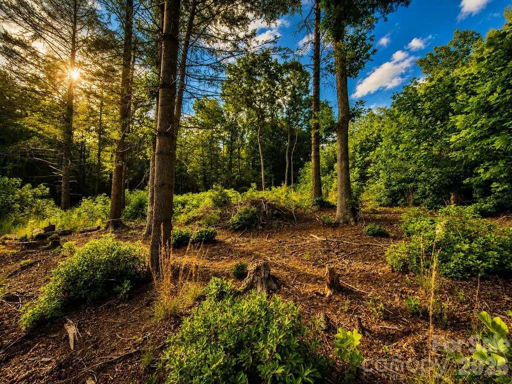 201 Cross Creek North Ridge Drive 46, Marion
