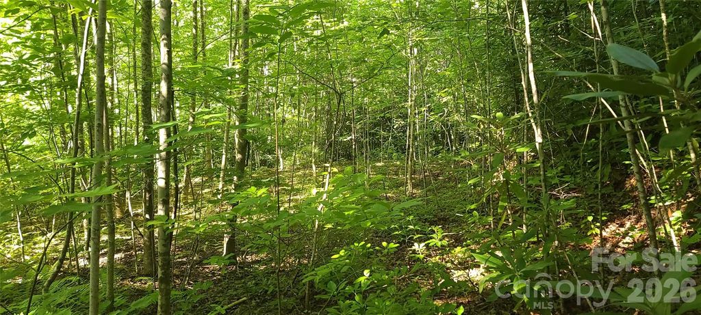 Lot# 19 Mill Creek Road, Old Fort