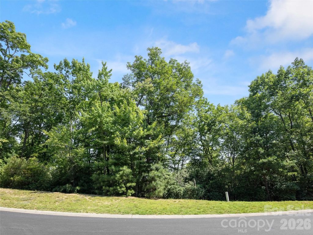 99999 Shining Rock Path 69, Horse Shoe