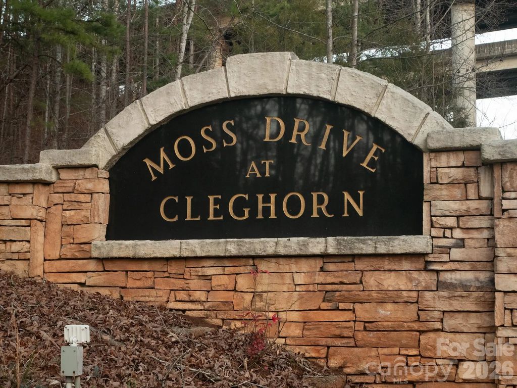 00 Moss Drive, Rutherfordton