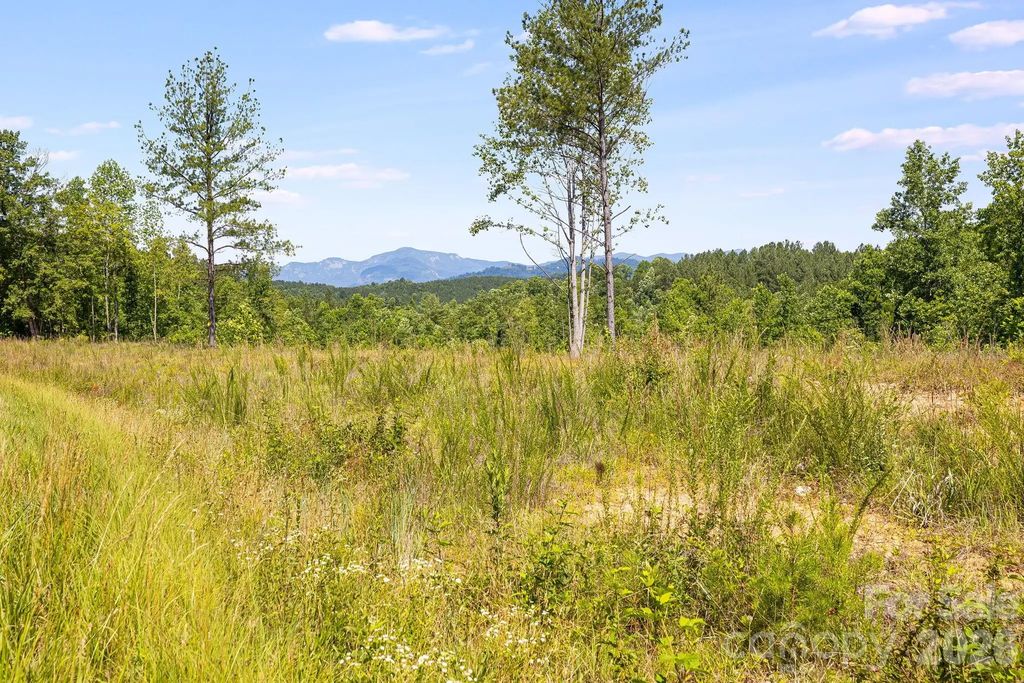 Lot #2 Clark Road, Rutherfordton