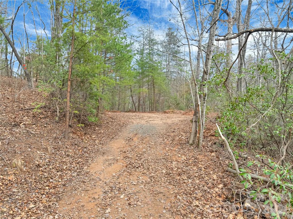 Tbd Deep Woods Lane 102, Saluda