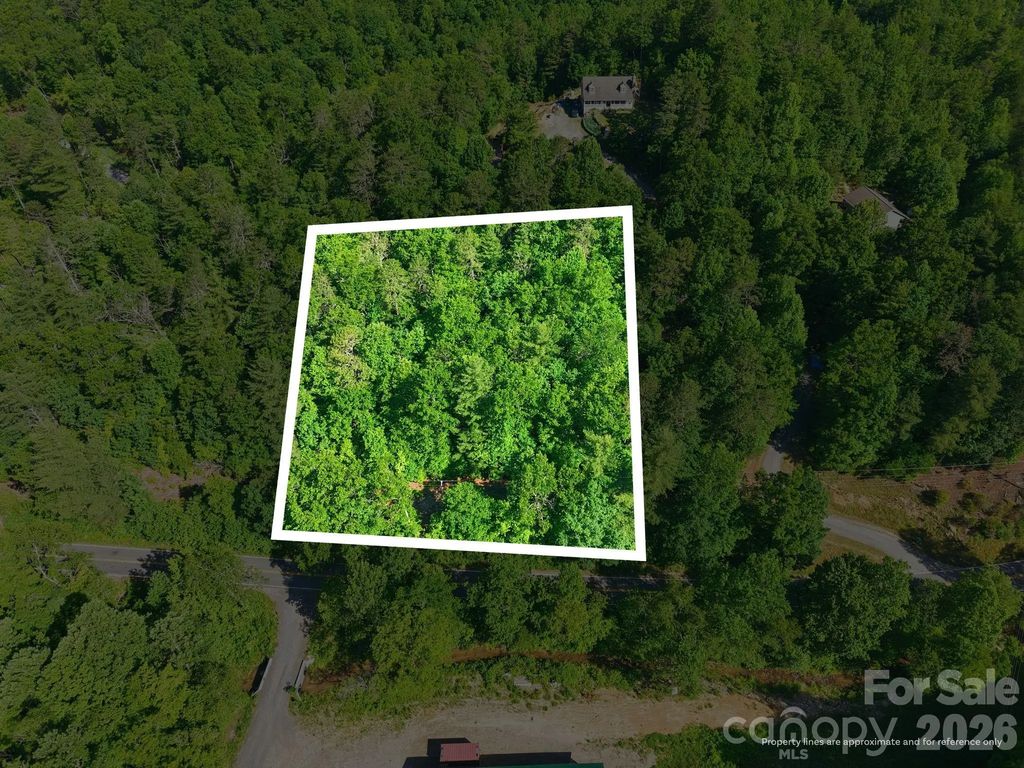 9999 Old Fort Road, Black Mountain