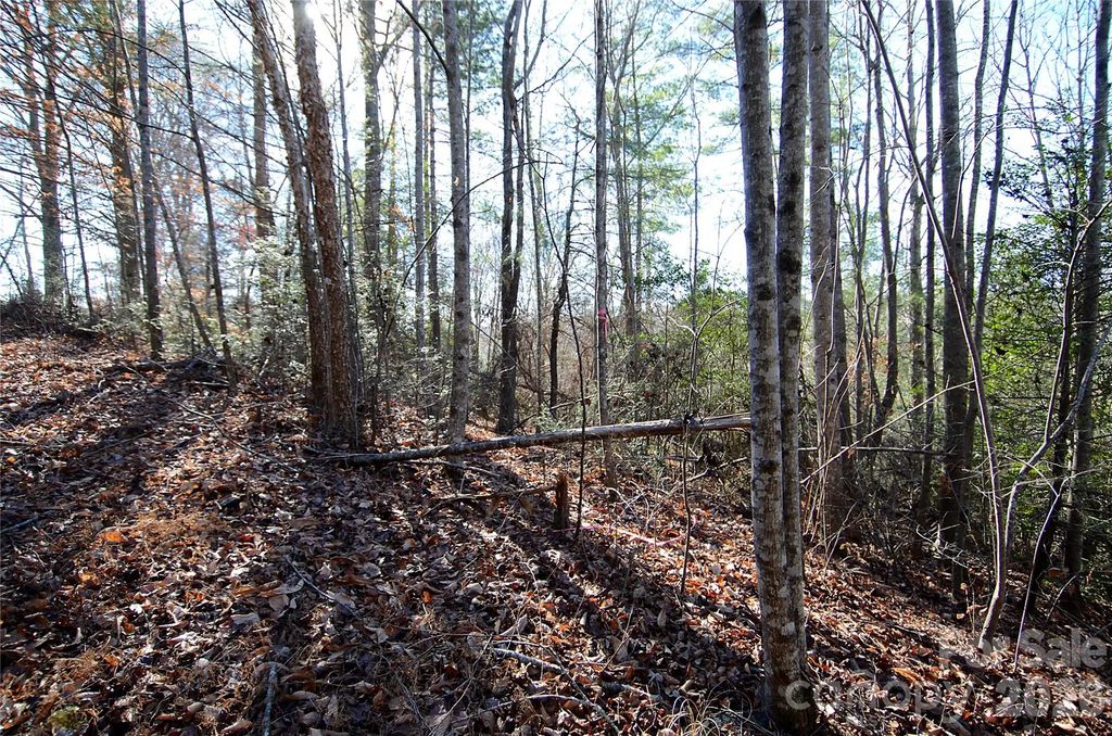 0 Wildwood Mountain Lane 8, Marion