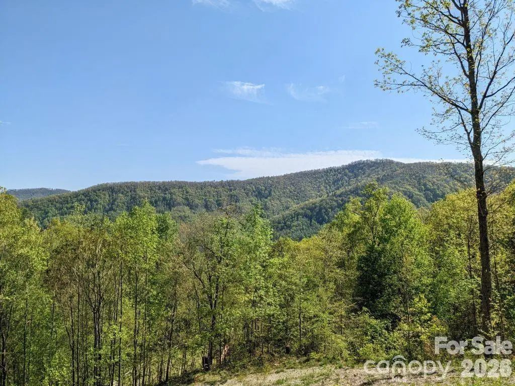 351 Kestrel Lane T-67, Black Mountain