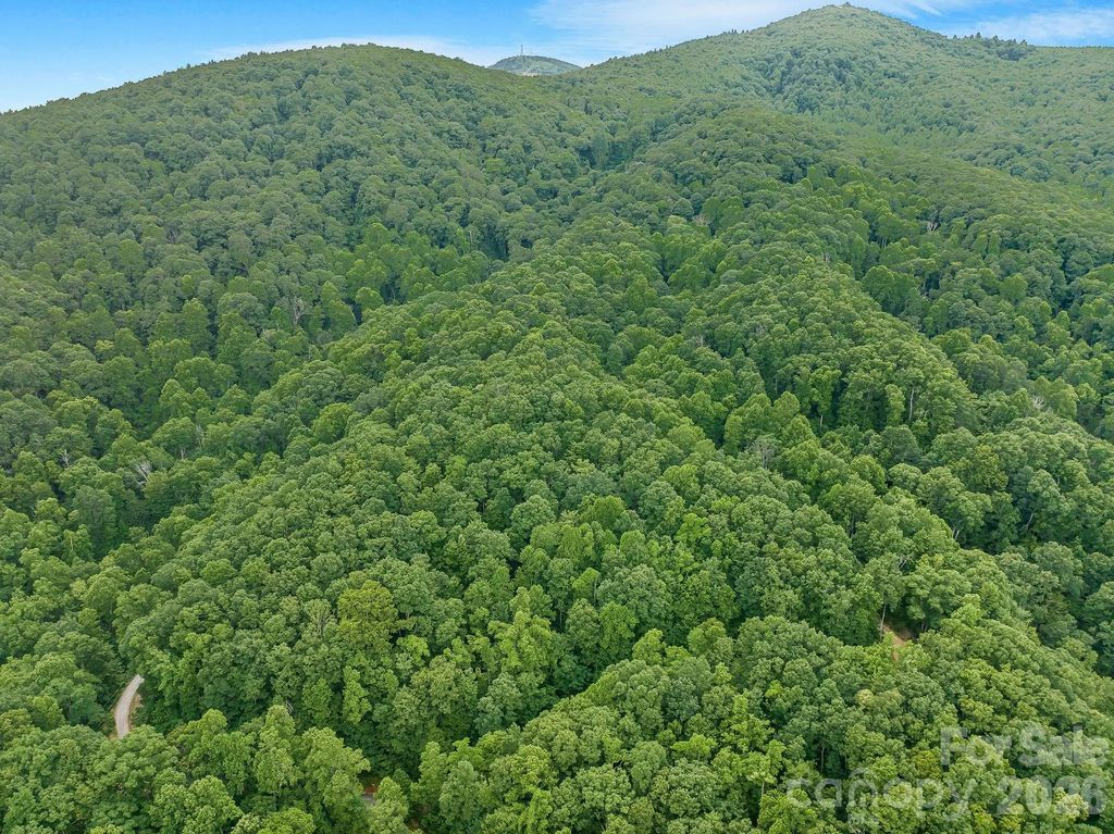 8 Carls Cove Road, Black Mountain