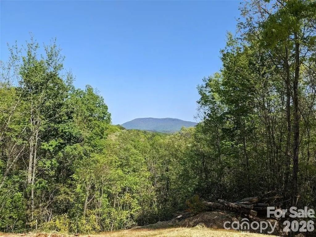 171 Nuthatch Lane C-30, Black Mountain