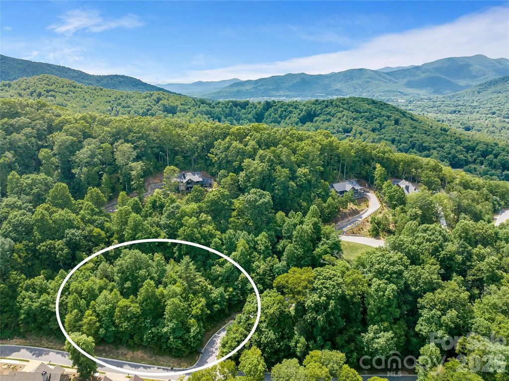 53 Old Lafayette Lane, Black Mountain