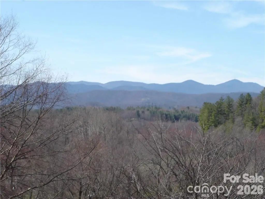 Lot #12 Cummings Cove Parkway 12, Hendersonville
