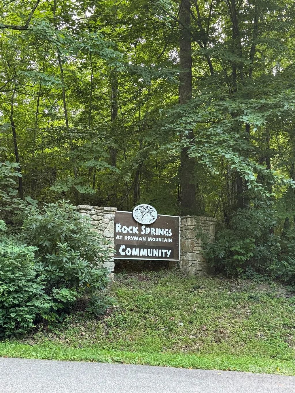 65 Forest Spring Drive, Asheville