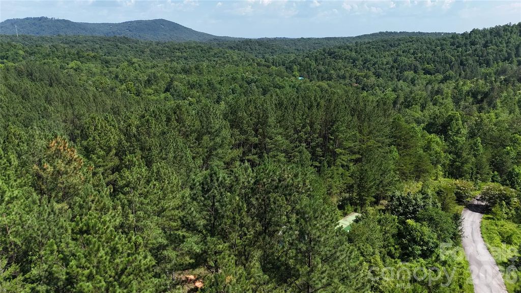 590 Gold Creek Point, Union Mills