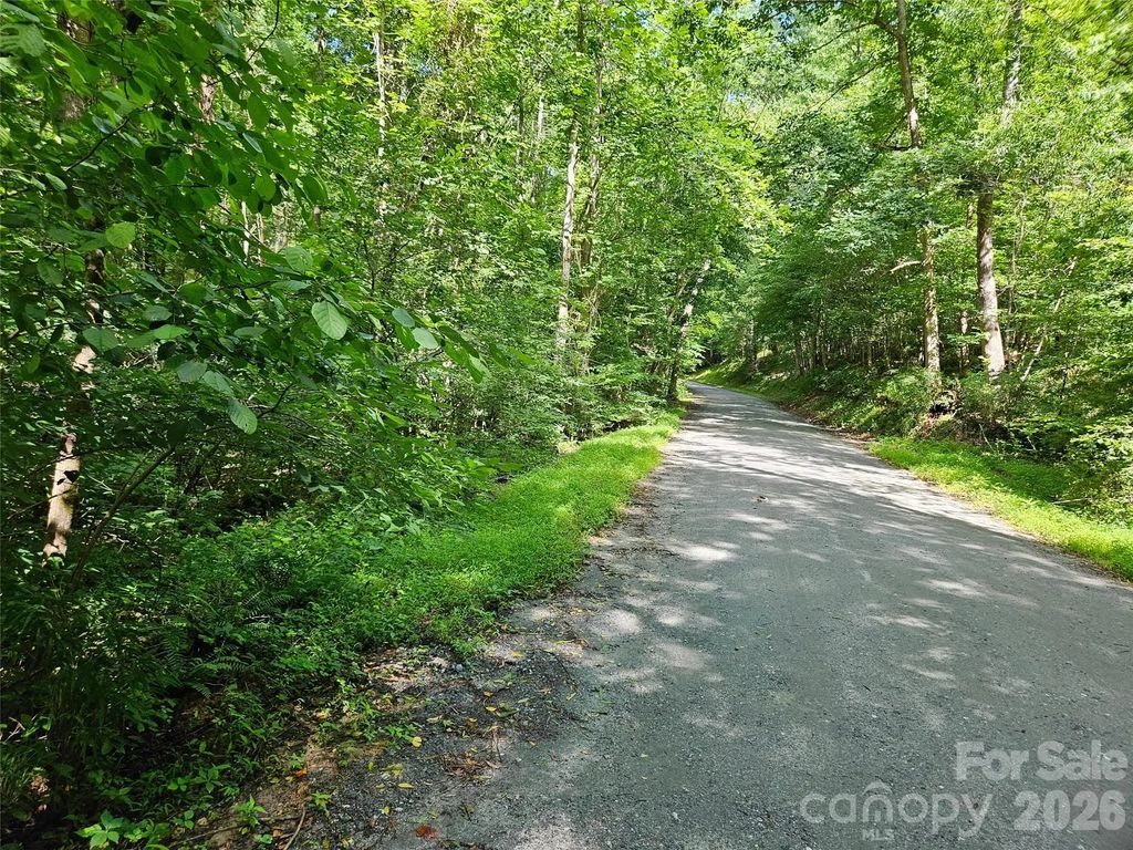 0 Sandpiper Avenue 163, Lake Lure