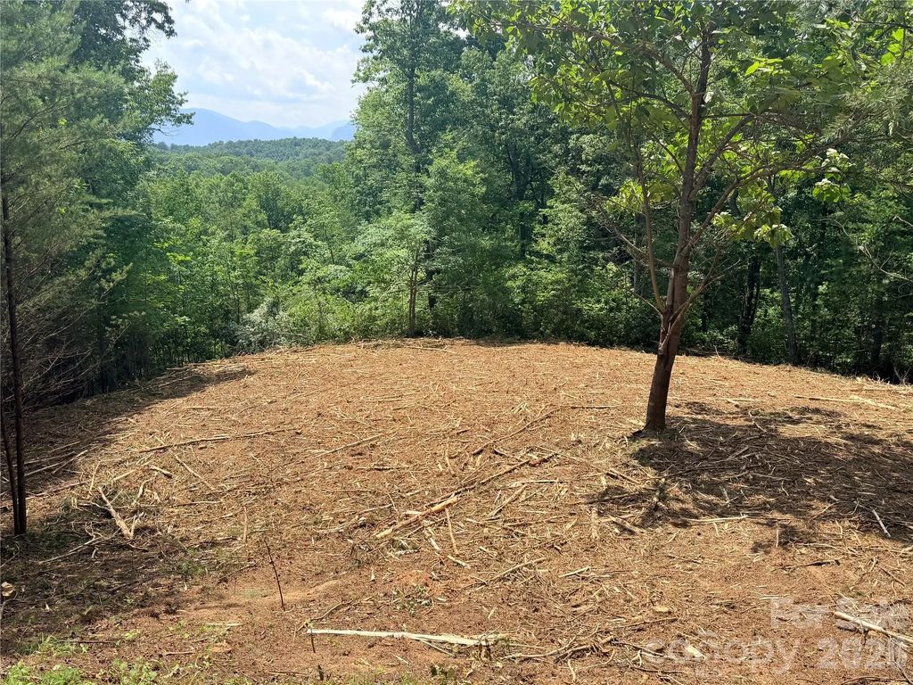 0 Rock Ledge Drive 247, Lake Lure