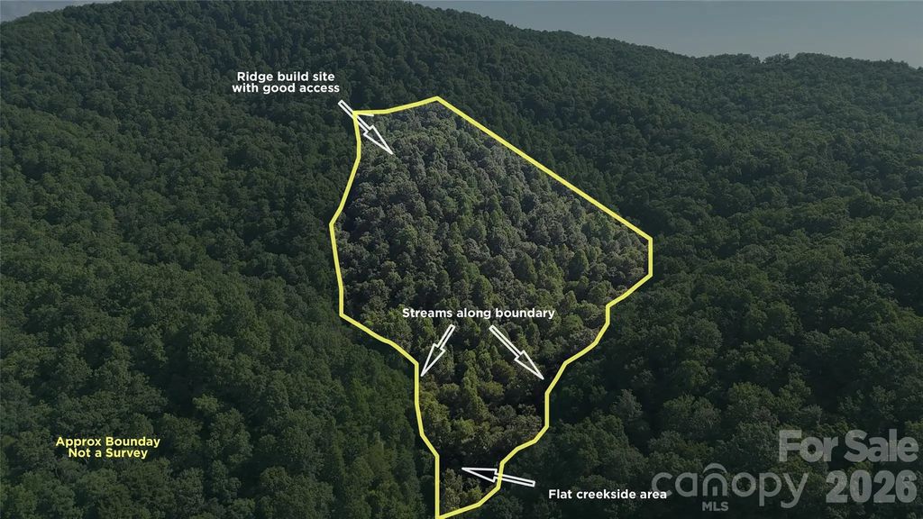 454 Forest Brook Road, Black Mountain