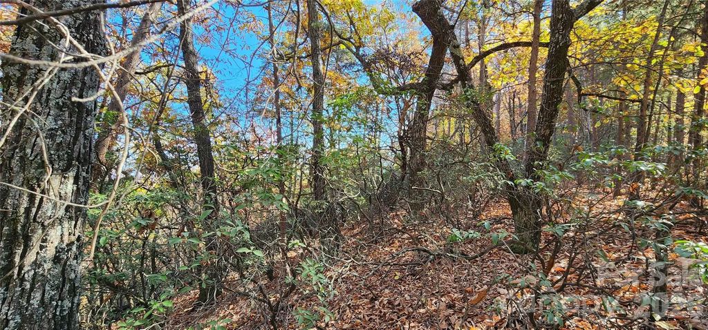 Lot 22 A Pinnacle Parkway 22 A, Union Mills