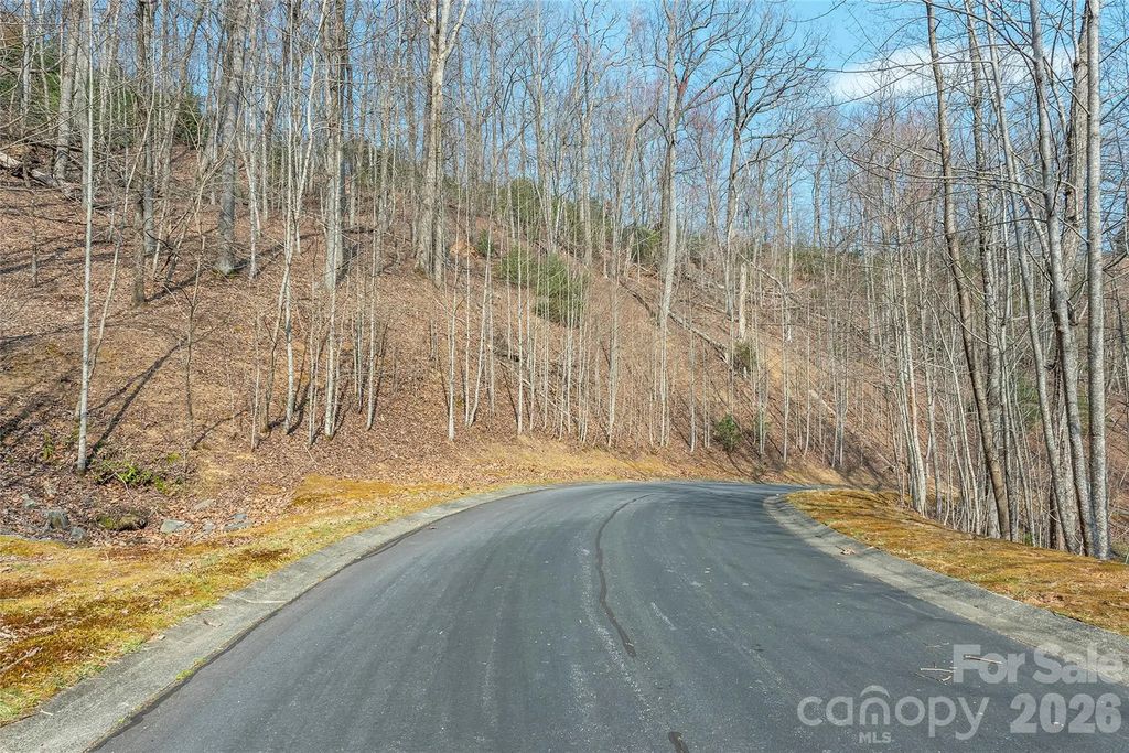 Lot 11 Shining Rock Path, Horse Shoe