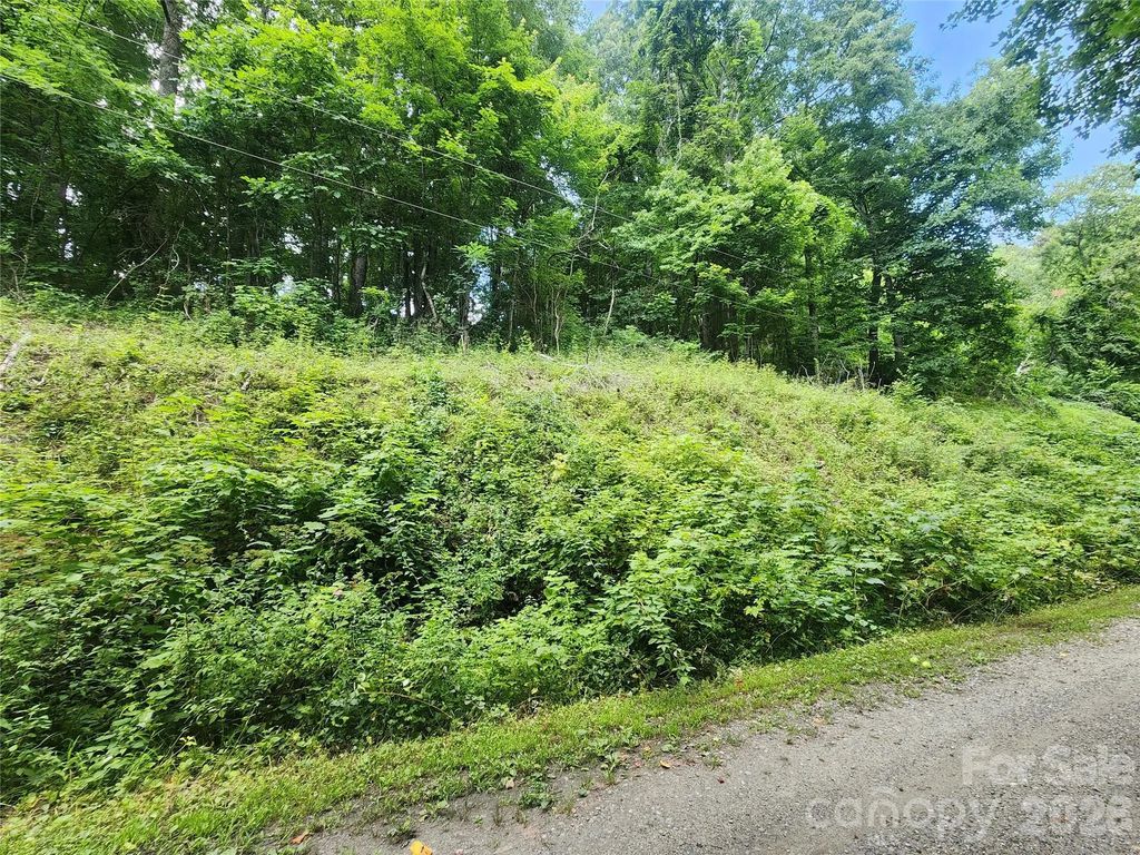 000 Jacks Knob Road, Weaverville