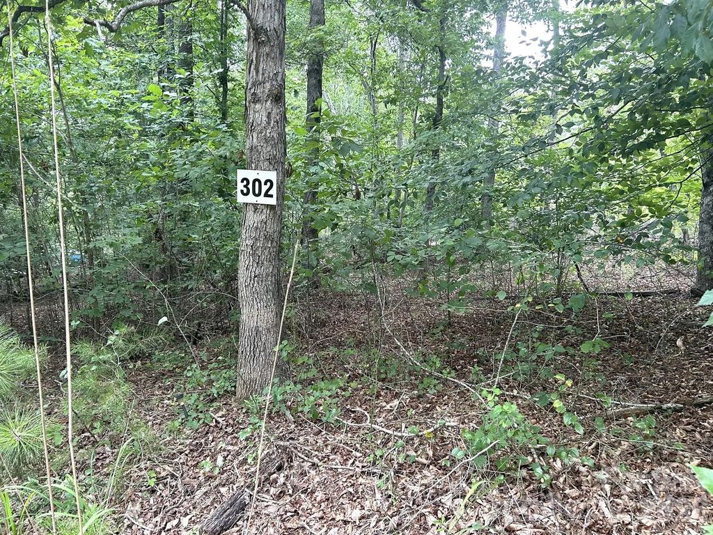 00 Bitteroot Circle 302, Rutherfordton