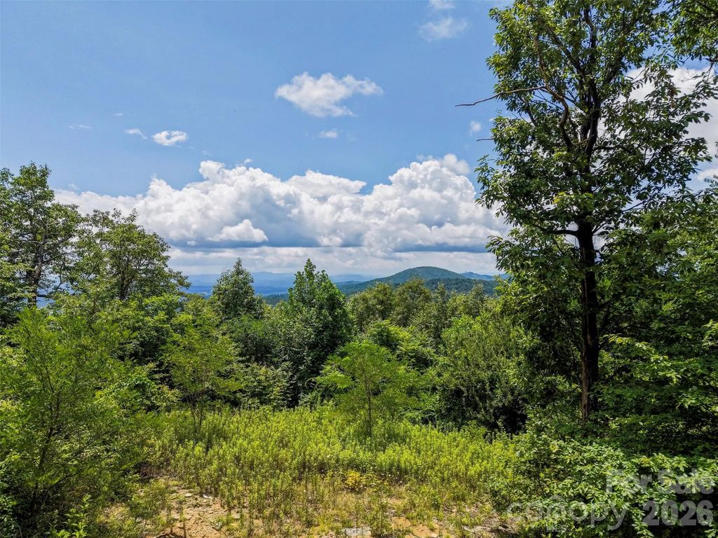 705 Pine Ridge Road 59, Hendersonville